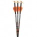 RAVIN CROSSBOW LIGHTED BOLTS CARBON MATCH WEIGHT .003 3/PACK