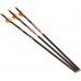 RAVIN CROSSBOW LIGHTED BOLTS CARBON MATCH WEIGHT .003 3/PACK